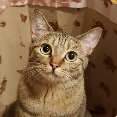 まりりんさんのプロフィール画像