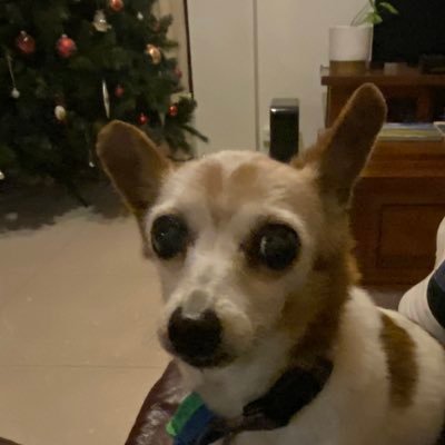 raycinoz's profile picture. Clean energy for the win!!