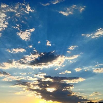 lotus85487448's profile picture. 