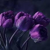 AS_MQ8's profile picture. ليت الآباء لا يشيبون و لا يمرضون و لا يحزنون و لا يرحلون 💕اللهُم ارحم وجهًا تاقت نفسي للُقياه ، اللهُم اغفر لأُبي واجمعني بهِ في مستقر رحمتك