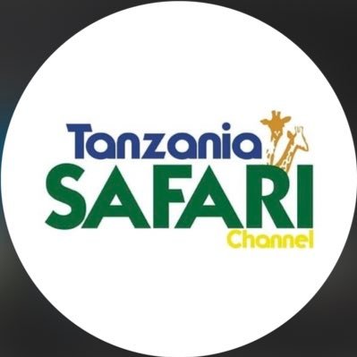 tzsafarichannel Profile Picture