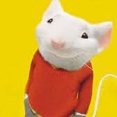 MegaChurchMouse Profile Picture