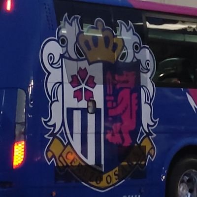 🌸セレッソ大阪🌸🌸香川真司🌸
埼玉在住の為関東近郊にて観戦してます⚽