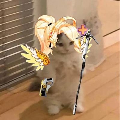 stasacore's profile picture. I like Overwatch :3