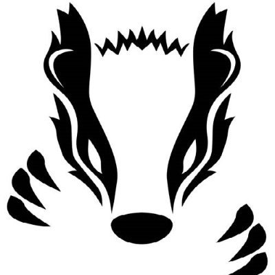 penbelieve's profile picture. Crypto trader, Research, web3 & MMO for me👑
Fortune smiles upon fools