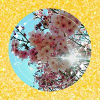 常春✋櫻前線 (@tokoharusakura) 's Twitter Profile Photo