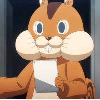 ぬん (@nullnulltrhk) 's Twitter Profile