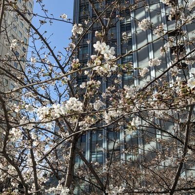 04 新b3都社共っ子の大学垢。
変な人になりたい。→考えることを辞めるな。自由に発言できる場であれ。