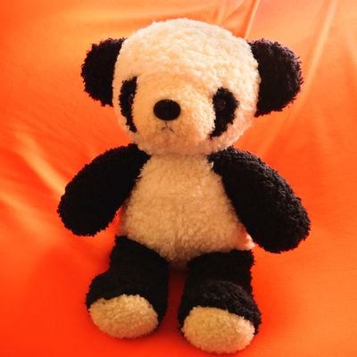 wol0403's profile picture. 