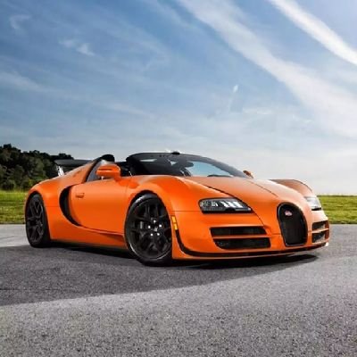 zhangguosheng43's profile picture. 每天向着阳光明媚，心情自然开朗