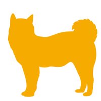 柴犬が好きすぎる＊シバ田(@shiba_sukisugi) 's Twitter Profile Photo