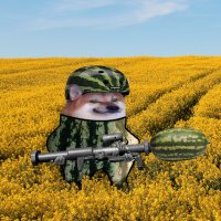 AÏMelonïa🇺🇦🇳🇱🇺🇦🇫🇮🇺🇦 (@vesimelonifella) 's Twitter Profile