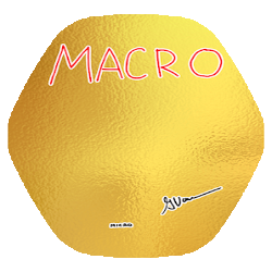 Peter45reynolds's profile picture. Tweet tweet.... fly you fools!!