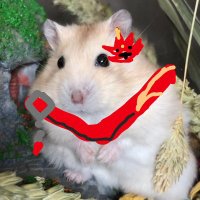 yolksoup (@yolksoup) 's Twitter Profile