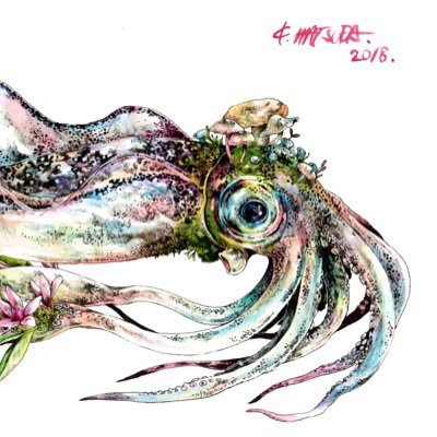 8/2乗っ取られていたアカウントを奪還しました!以降は@keso901005にて作品の発表、展示などの告知を行います。insta→@keso1005 E-mail keso.zoo1005@gmail.com