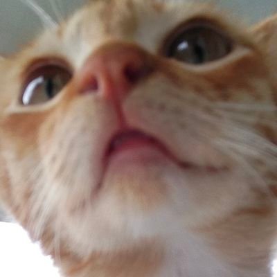 Isslayさんのプロフィール画像