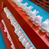 mai (@mai358184422315) 's Twitter Profile Photo