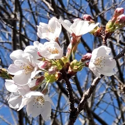 最もシンプルなことで幸せを見つけてください✨.

人生は短い💦.