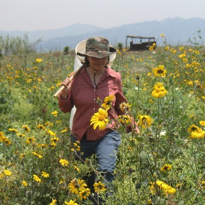 Guatemalan Biologist, budhist and idealist.
Postdoc at Martin Luther university.
Asociate editor Journal of Applied ecology.