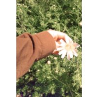 Mizgin Çiftçier (@mizgin_ciftcier) 's Twitter Profile