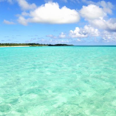 nekomomo353_'s profile picture. 2023武蔵美通信デザイン情報2年編入,一般企業社員
動物と自然が好き
今 蒔けば種 花咲かす