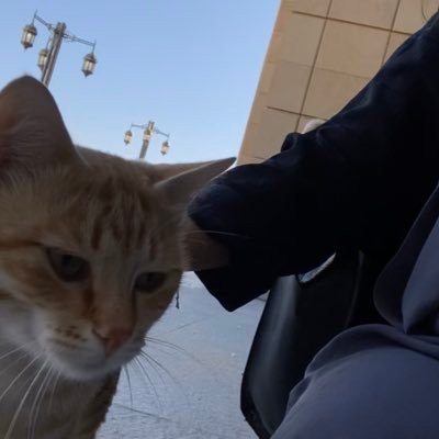 saai6045's profile picture. الأمان رب ثُم أب.🌻