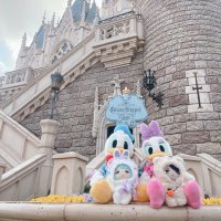 si (@fraise_1114) 's Twitter Profile Photo si (@fraise_1114) 's Twitter Profile Photo