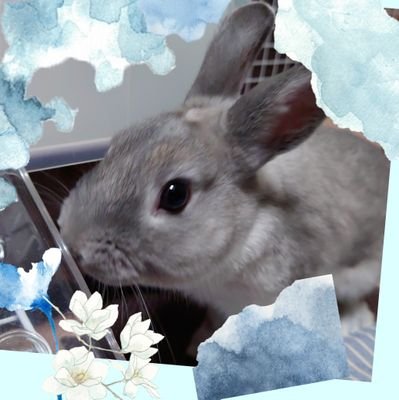 和姫さんのプロフィール画像