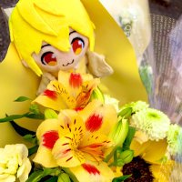 しぃちゃꕤ︎︎·͜· (@shiho_root) 's Twitter Profile
