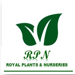 RPNltd's profile picture. Our mandate is to enhance the farming of Macadamia nuts in Western Uganda by propagating Macadamia seedlings for distribution.