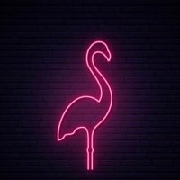フラミンゴ (@fx_dfm) 's Twitter Profile