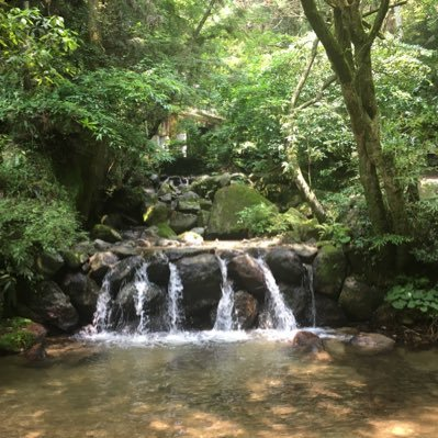 香霖 すこん部🌽🌲🍙さんのプロフィール画像