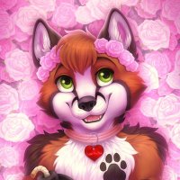 ππΎLeon Foxy πΎπ @leonfoxy.anthrotainment.com (@leon_the_fox) 's Twitter Profile Photo ππΎLeon Foxy πΎπ @leonfoxy.anthrotainment.com (@leon_the_fox) 's Twitter Profile Photo