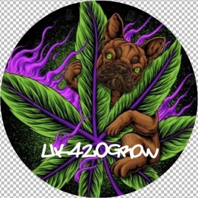 small batch amateur cannabis grower French bulldog owner! trying to set up a community to help one another with growing tips and advice!