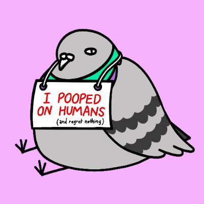 very phat , very pigeon, 
very Smol brained,  i twit rubbish.
Coo Coo