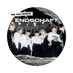 ENDUL. #SweetVenom (@endschaft) Twitter profile photo ENDUL. #SweetVenom (@endschaft) Twitter profile photo