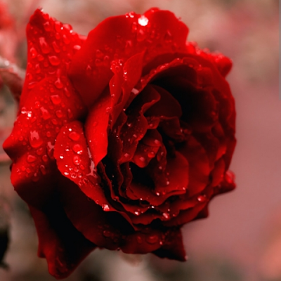 Big Man Things 🦅🦅