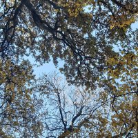 Gizem (@gizem52495005) Twitter profile photo