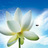 nam0825's profile image