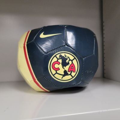 Fan del América.