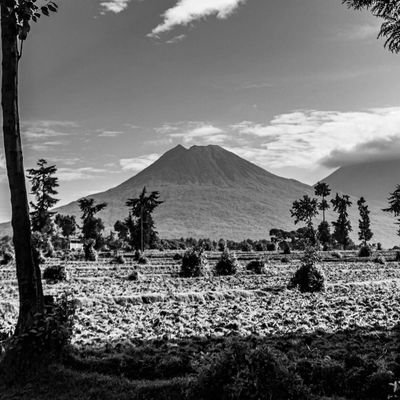 tuyiishimire's profile picture. Spiritual Being  Living  a Human  Experience.                  
My work sits at intersection of code, cartography,  and problem-solving.      Minimalist