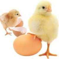 شركة غسيل كنب موكيت بالدمام /0548048521 (@f_r_z0) 's Twitter Profile