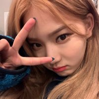 ✿ (@daqodil) 's Twitter Profile Photo