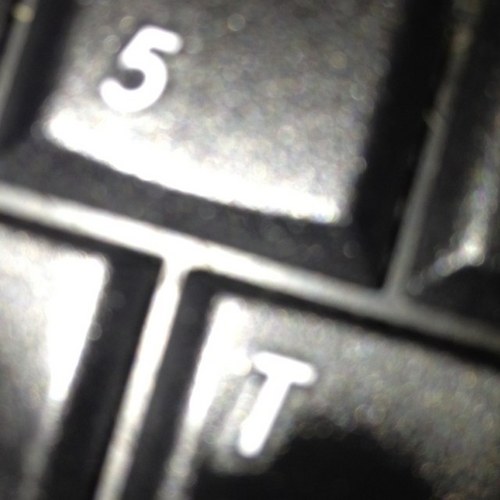 Troy Carmann Profile