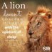 Leroy Lewis (@leroylewis58) Twitter profile photo Leroy Lewis (@leroylewis58) Twitter profile photo