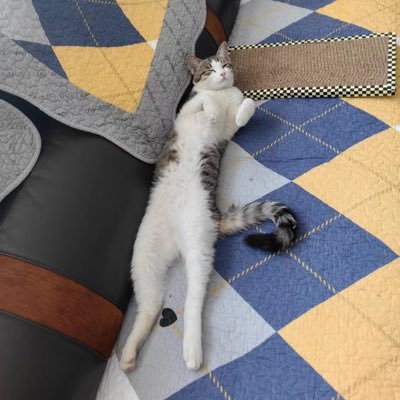 baozhong_x68912's profile picture. メッジクプレイヤー　モダン、パイオニア、レガシー
普段秋晴れdaily　　
ツイッターは日記のように使うのでコメントしすぎないw