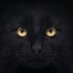 Carlos raul (@carlosraul2ar) Twitter profile photo Carlos raul (@carlosraul2ar) Twitter profile photo