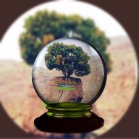(شمالي) (@mmst233) 's Twitter Profile Photo (شمالي) (@mmst233) 's Twitter Profile Photo
