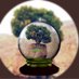 (شمالي) (@mmst233) Twitter profile photo (شمالي) (@mmst233) Twitter profile photo