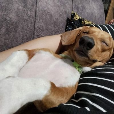 tttrdy's profile picture. 